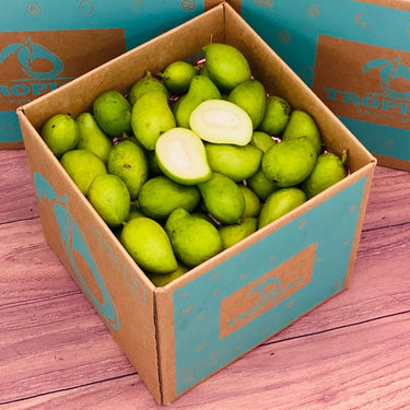 Baby Green Mangos
